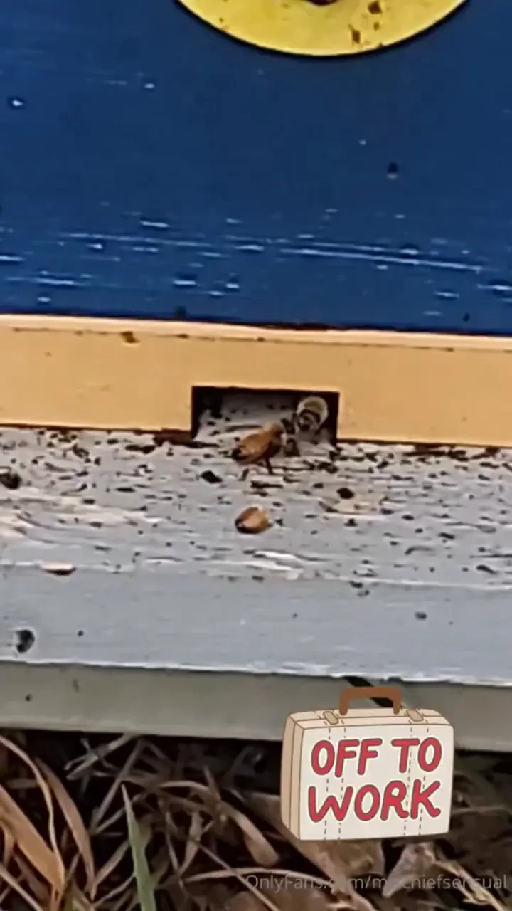 Weekend car camping ecstatic dance adventures with callalilylady part 1 