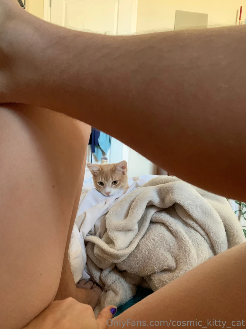 Curious kitty part 2 