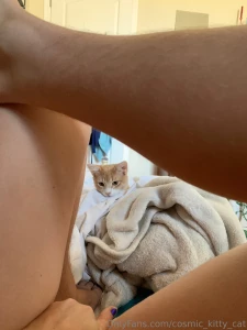 Curious kitty part 2