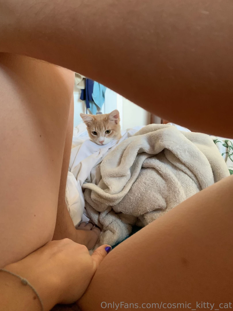 Curious kitty part 1 