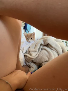 Curious kitty part 1