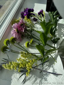 Just laying these flowers out to dry so i can press them later can t