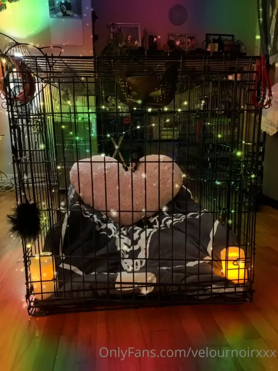 Who wants to request a custom video of me in this sexy cage qui veux 