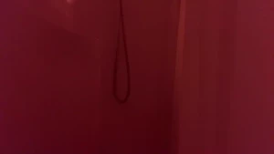 Stream started at 05 27 2024 04 04 pm shower time