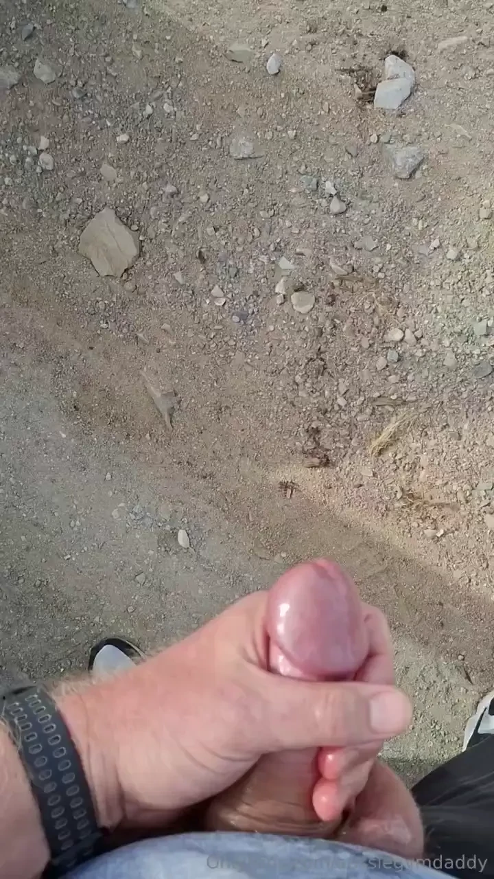 The desert made me so hot i had to pull over and stroke 