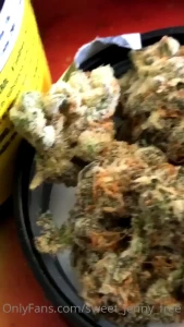 Stoner stop amp say hiiii swipe vip sweet_jenny_xox free part 1