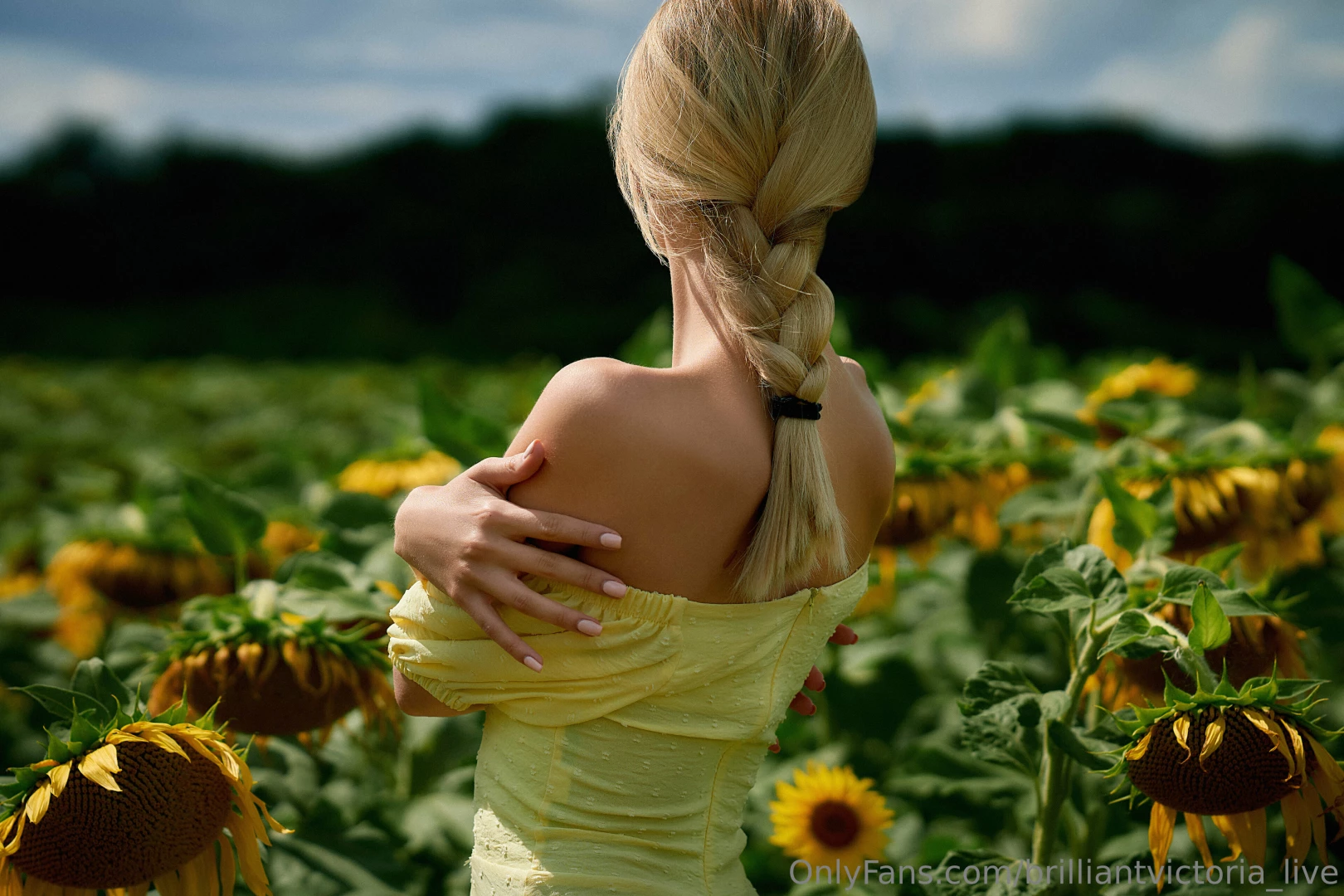 I walked into the sunflower field and part 1 