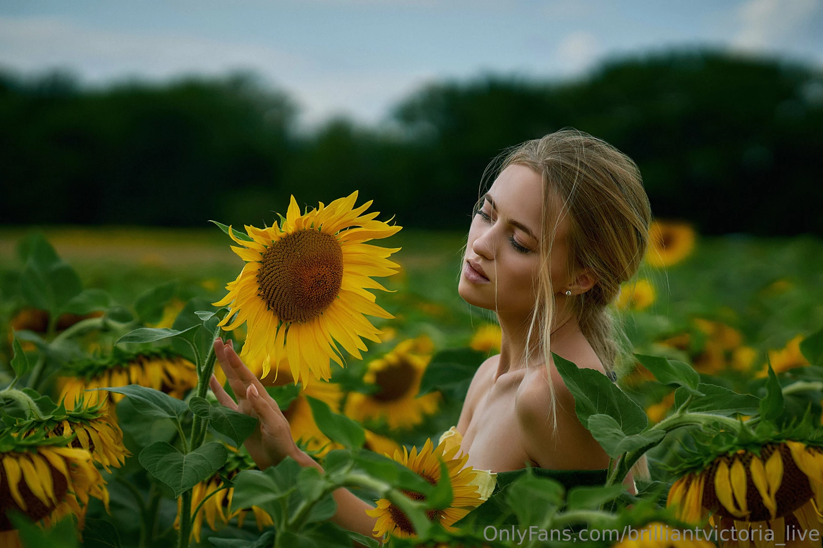 I walked into the sunflower field and part 3 
