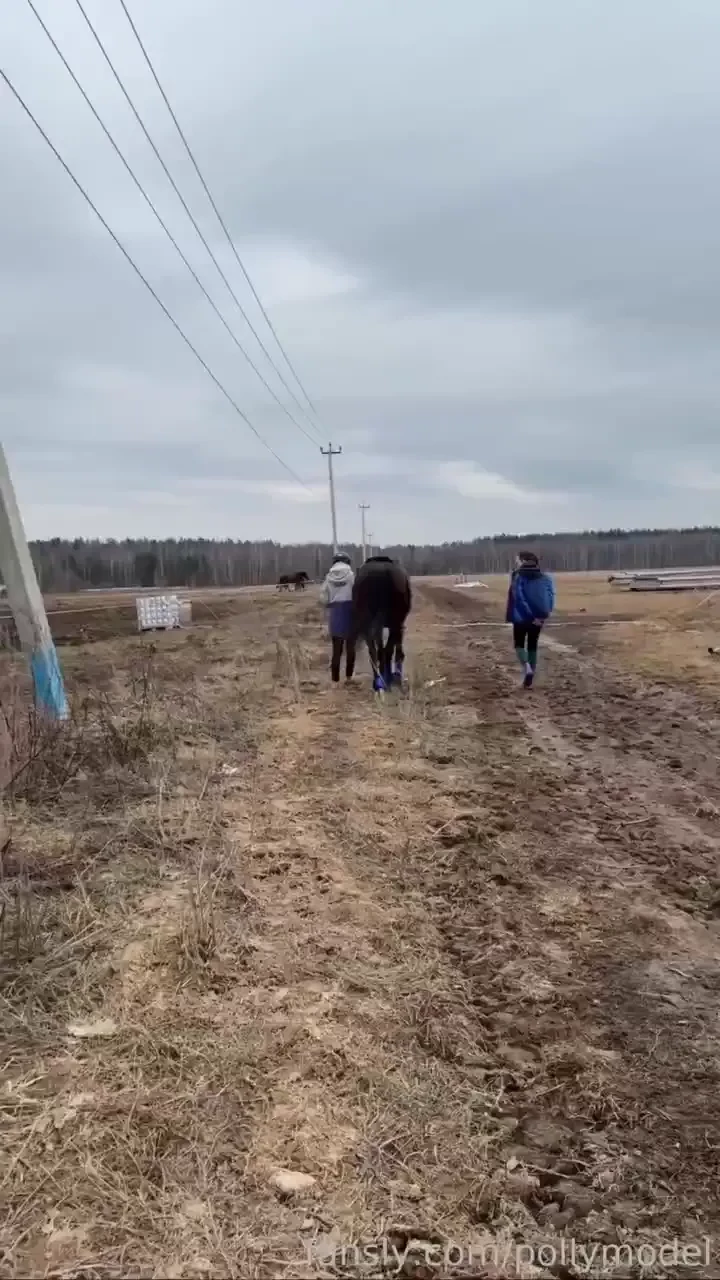 Part of my soul i decided to return to equestrian sports i really 