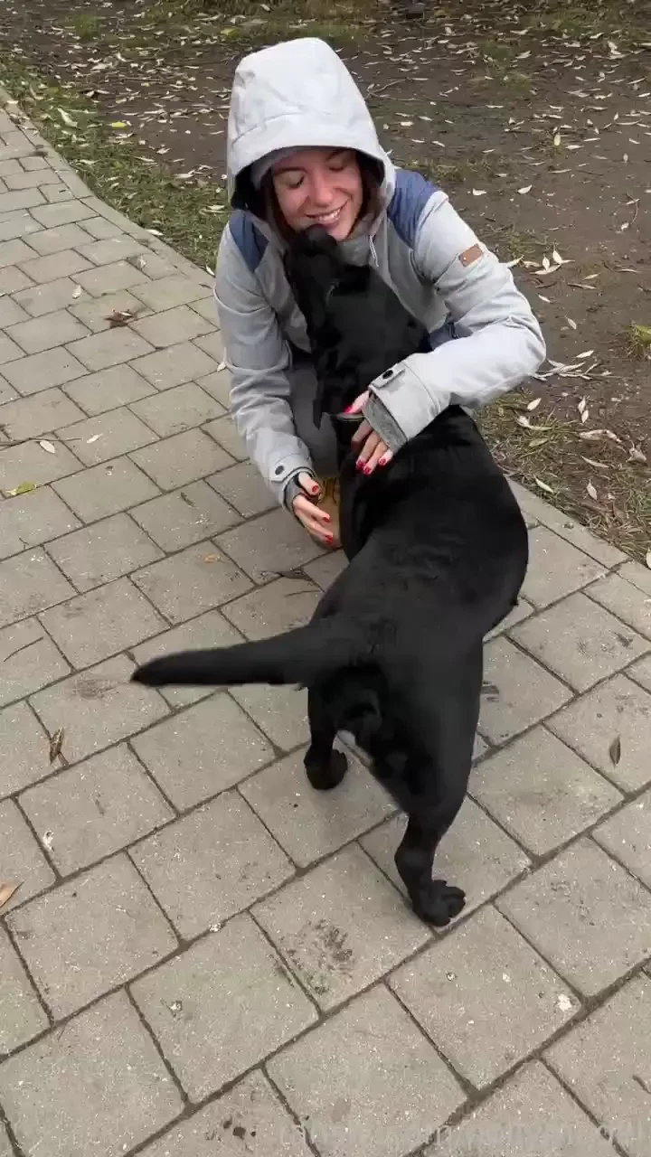 Today i walked in the park with my beloved dog for the first time in a 