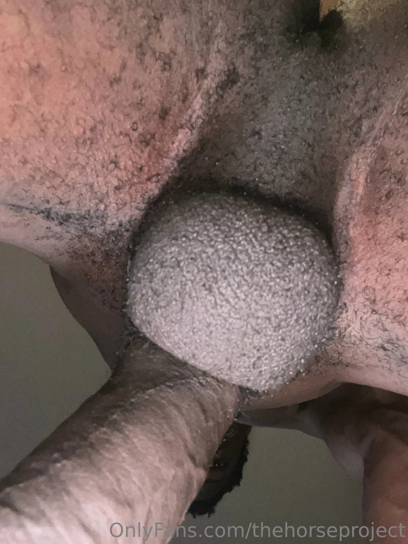 thehorseproject - Come help me drain this big black dick all participants will get 3 