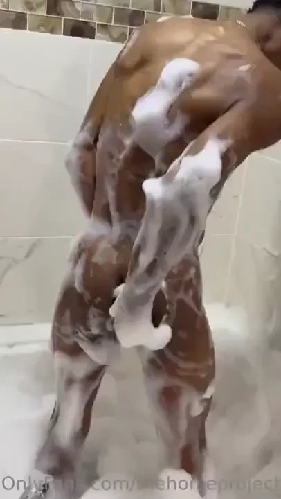 Thehorseproject part 7 