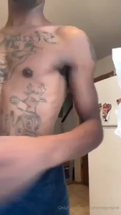 Thehorseproject part 4 