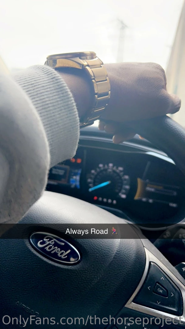 Thehorseproject part 18 