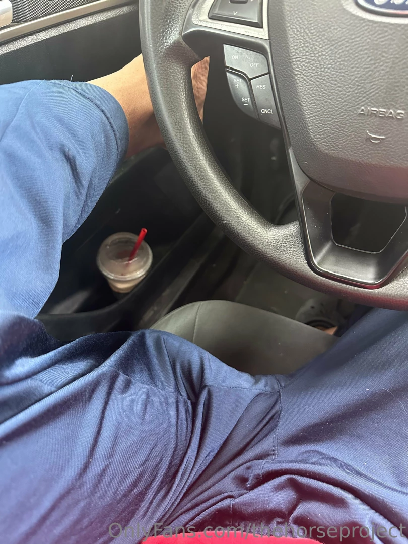 Thehorseproject part 17 