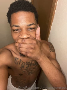 Thehorseproject part 20