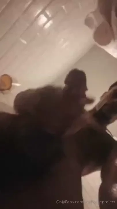 Welcome to the horse project thank you for subscribing tip this post 