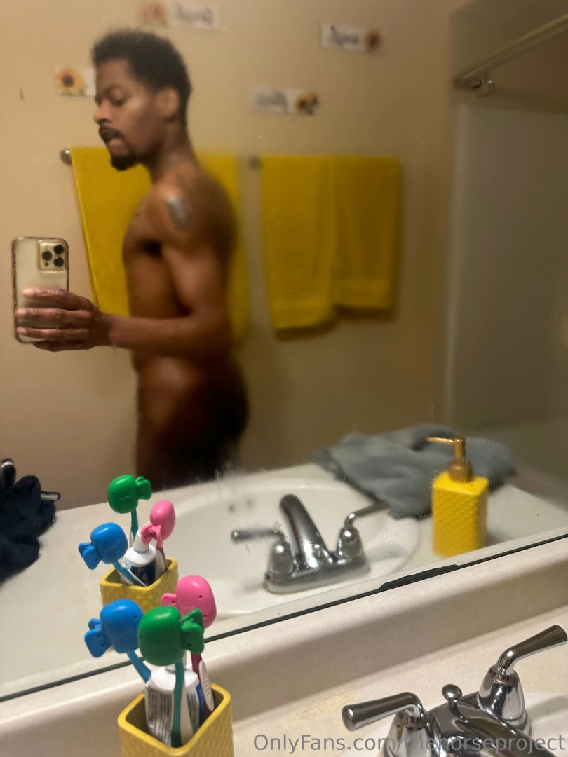 Thehorseproject part 1 