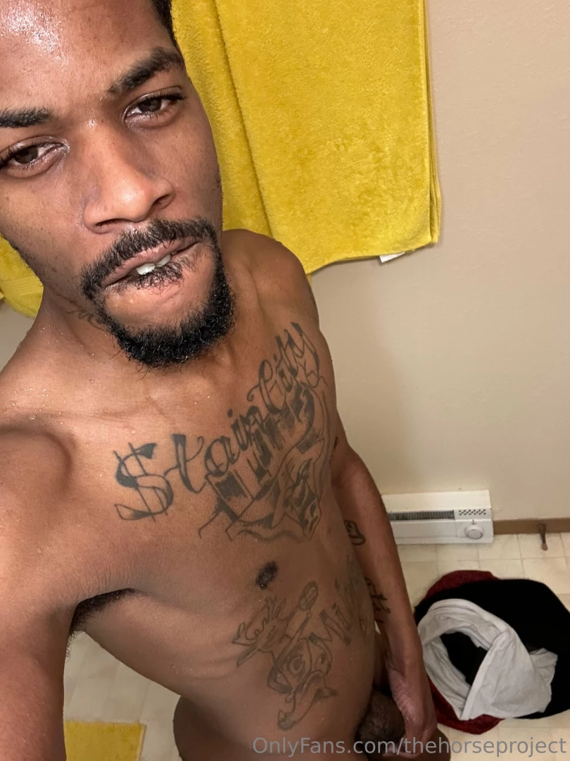 Thehorseproject part 6 