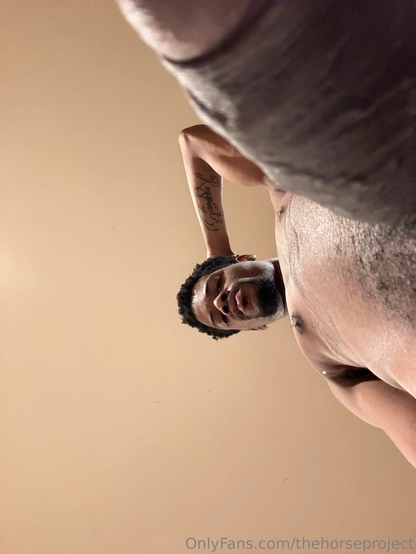 Thehorseproject part 524269 