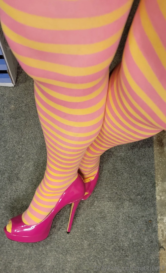 Haven t posted in a bit here s some cd stuff to hold you over 