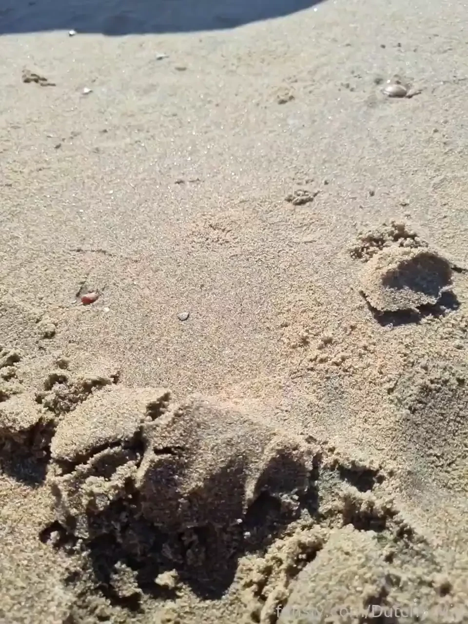 Would you eat my ass on a public beach fyp milf amateur fetish kinky 