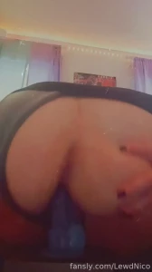 Practicing my riding bouncy kitten