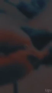 Est n listos para el video del plug