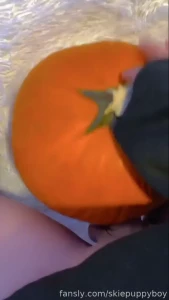 Halloween fun full set of the pumpkin content i teased other places