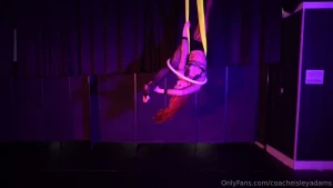 Flips and tricks what do you think part 2