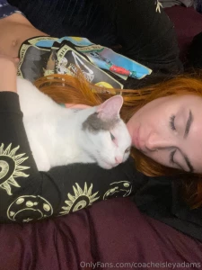 Cuddles in bed with my fur baby news i applied to vet tech school i ve part 1