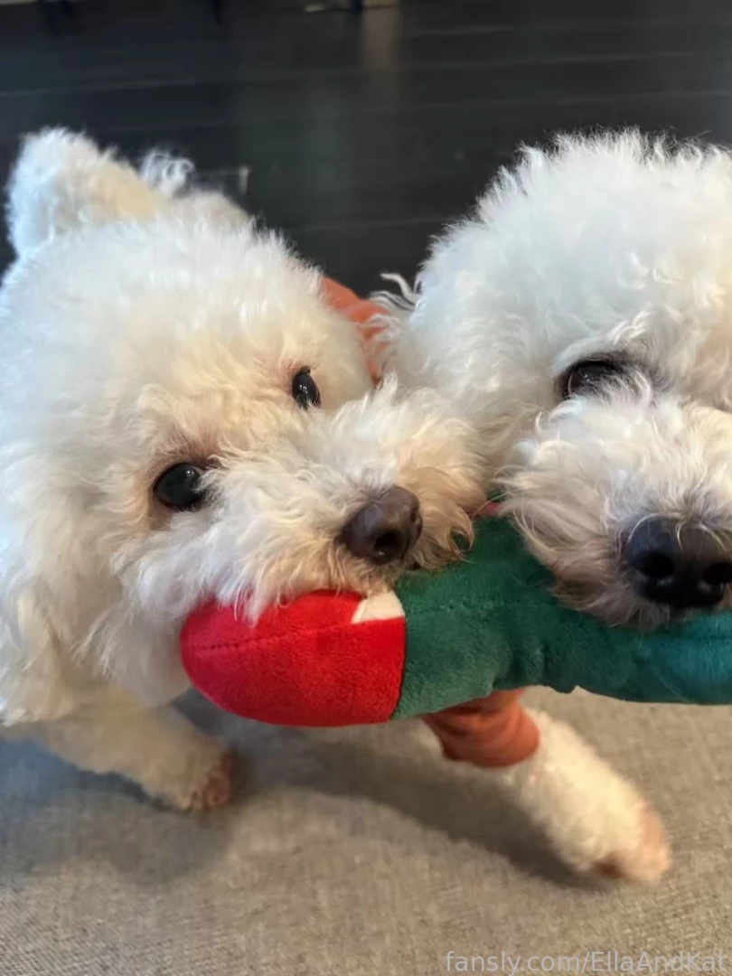 Good morning as being a content creator i wish to get to know my fans 