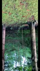 Fingering my pussy in the forest