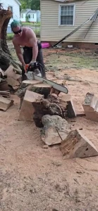 I m not dead just been busy doing tree stuff