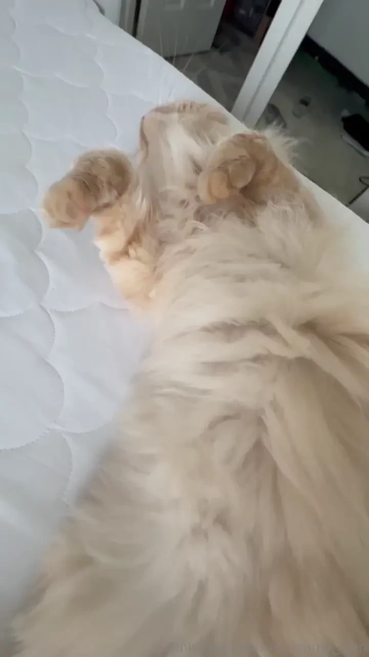 For the fans of augie he joined me promptly after the last posting part 2 