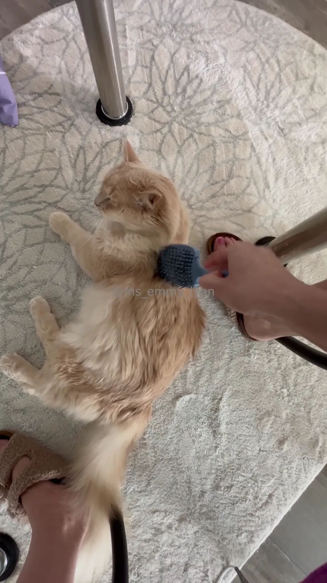 Lunch break amp time w augie nourishing for the body brain soul 