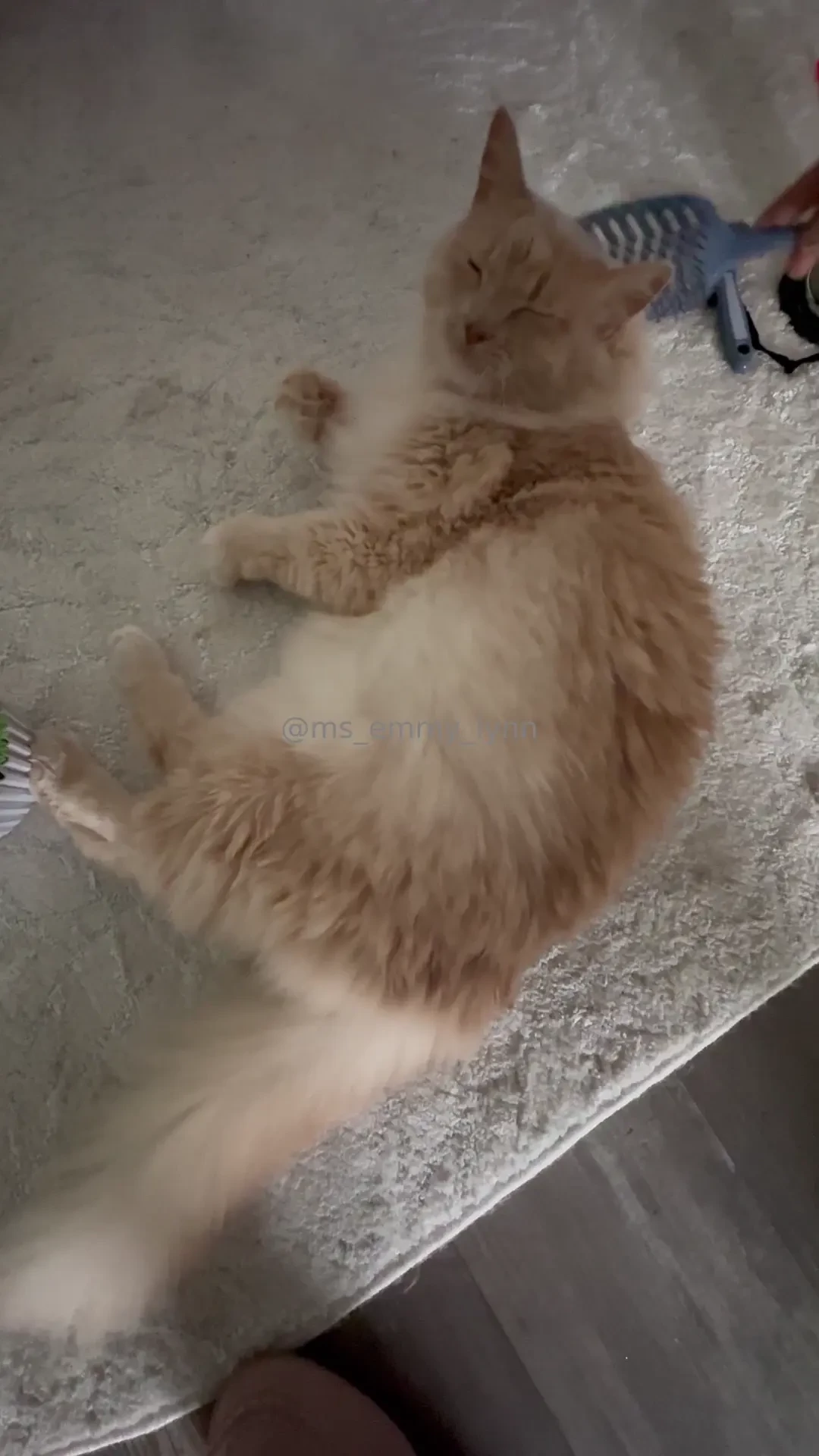 Keep me company while i unload the dishwasher babe finally found a 