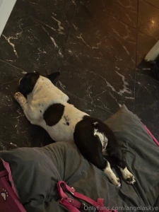 My current vibe lol text me i m bored part 1