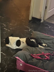 My current vibe lol text me i m bored part 2