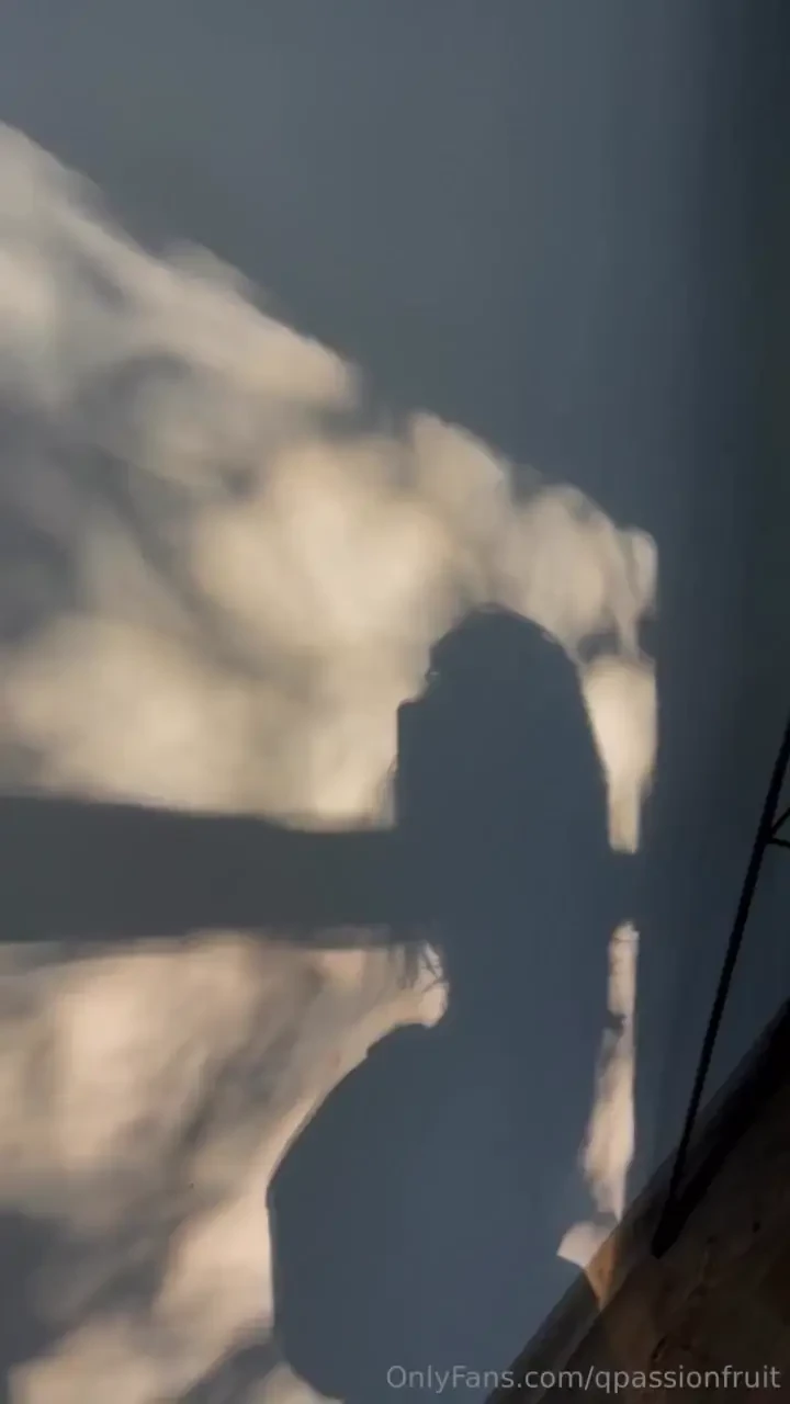 Morning bliss and shadow play 