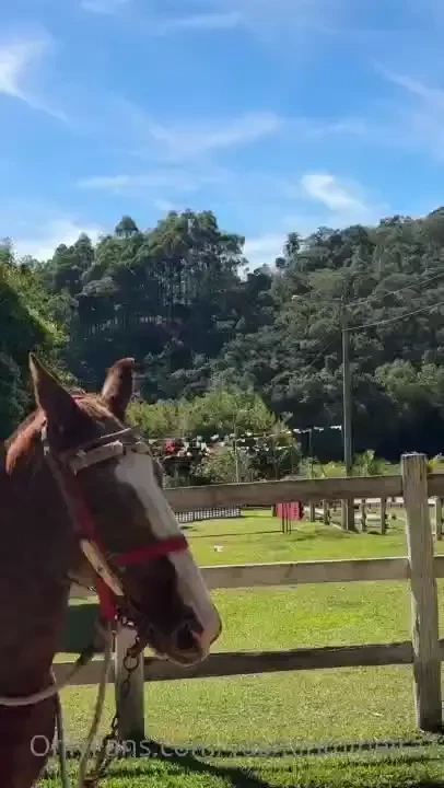 Eu cavalgo bem do i ride well 