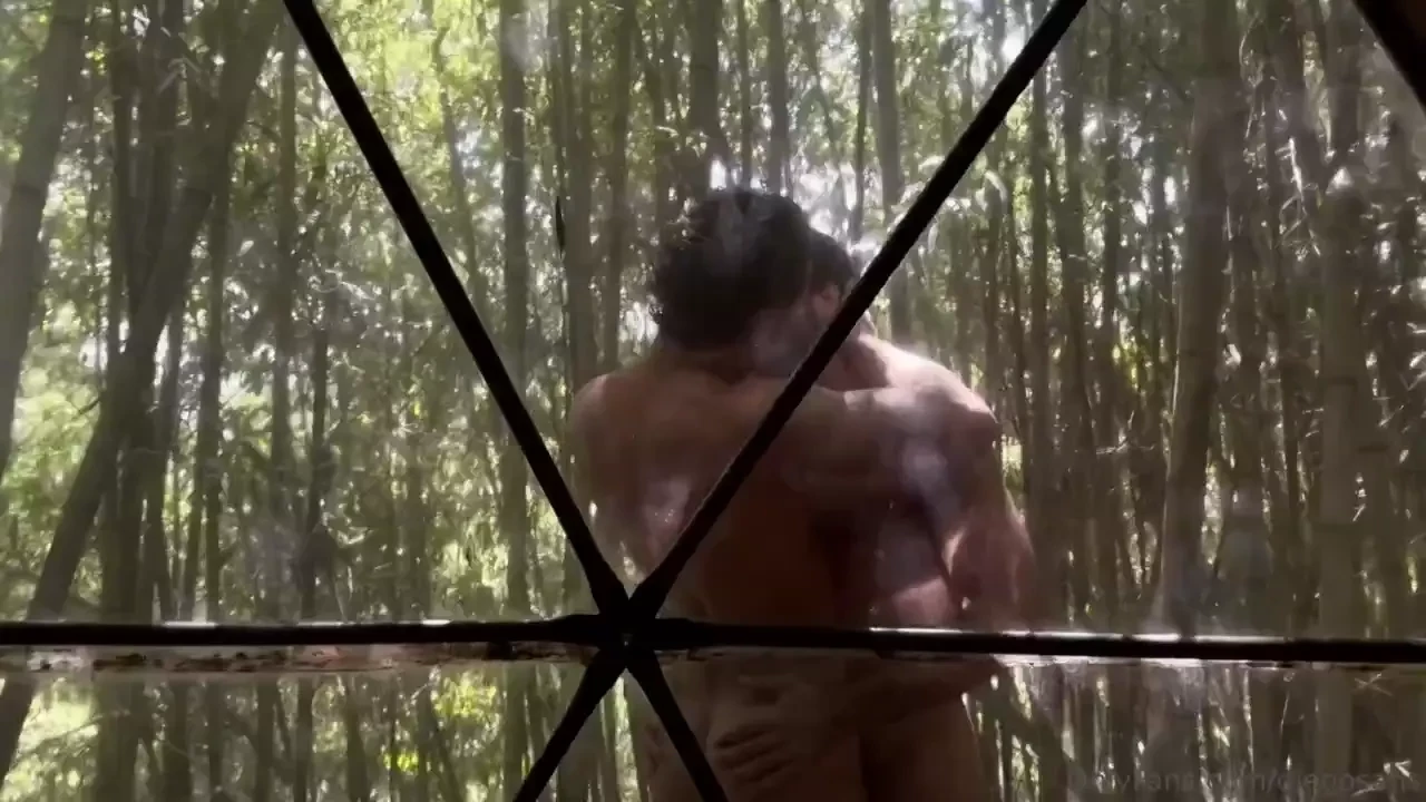 Playing in the woods with henryfelix 