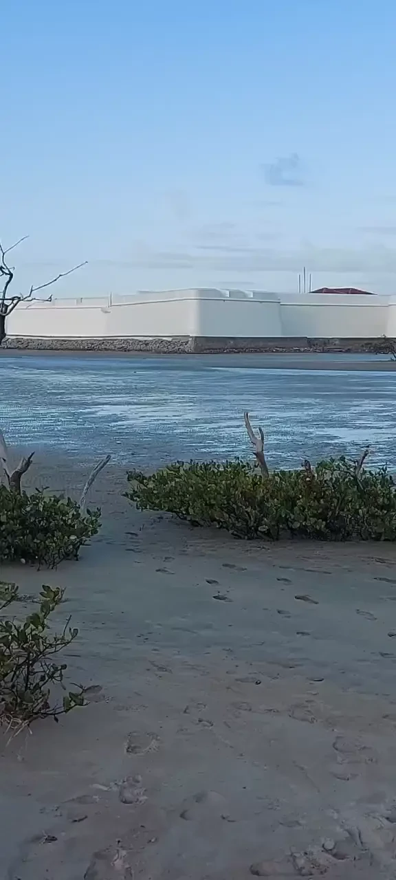 Cruising en la playa 