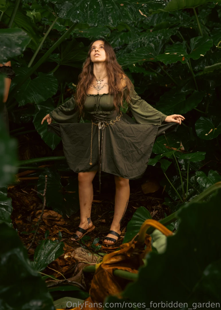 Just some fairy s frolicking 