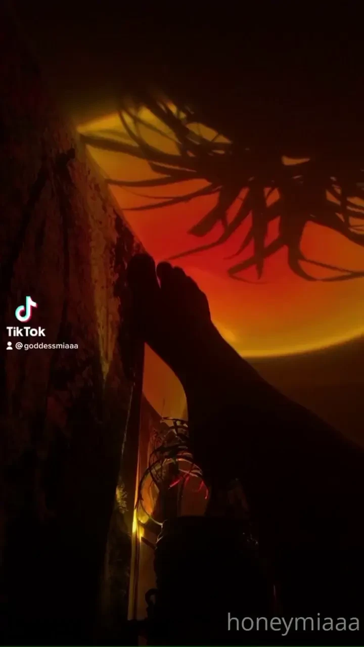 Made a lil tiktok account 