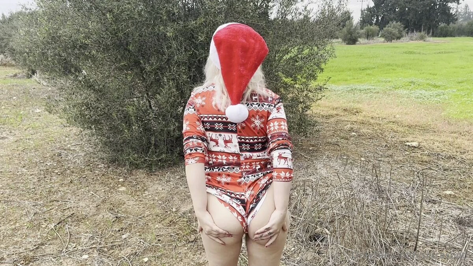 Merry christmas part 3716 