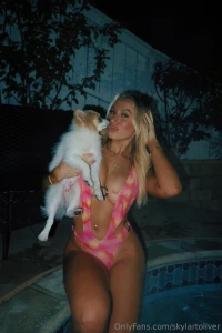 Dog or cat