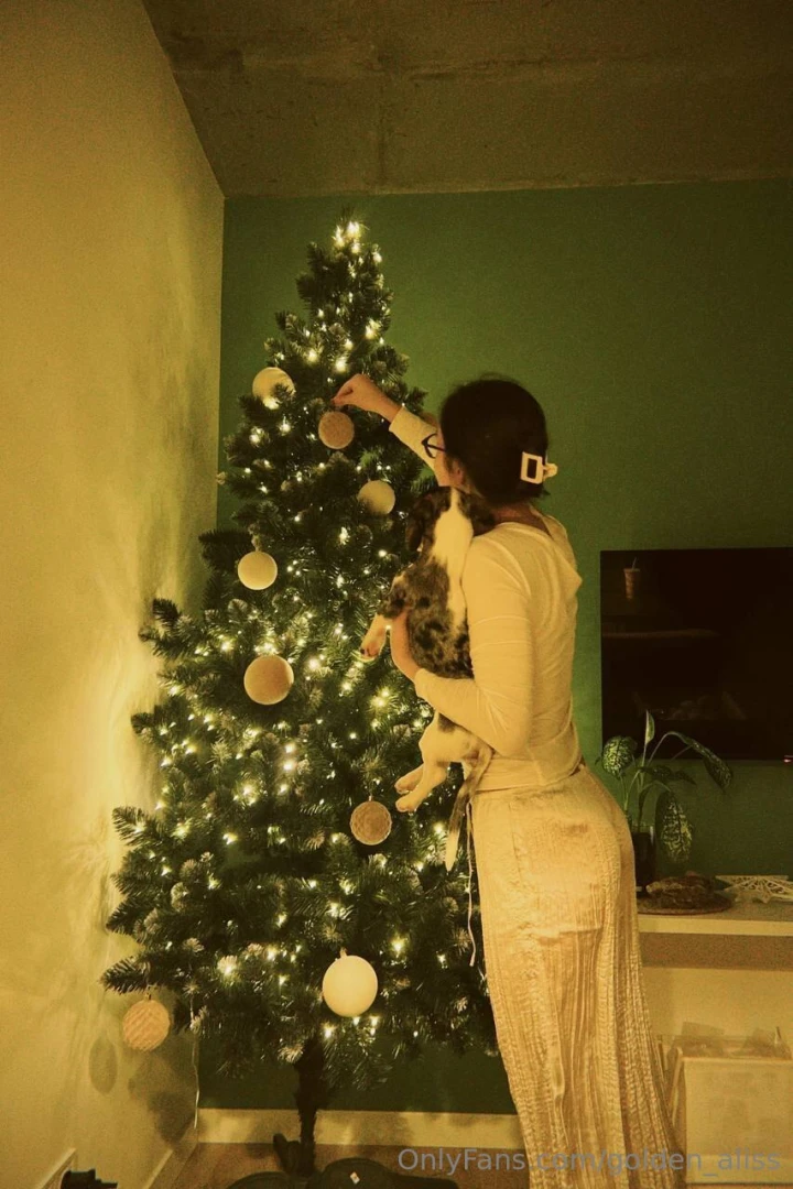 The christmas tree is all dressed up the garlands are sparkling and i 