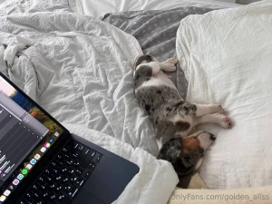 Today is my perfect day - me my beloved dog and a cozy bed i want to