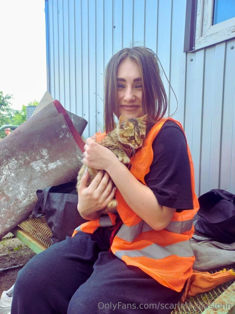 Found a new cute friend and do you have any pets 
